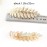 2 Pcs Toga Party Greek Goddess Costume - Gold Leaves Hair Barrettes