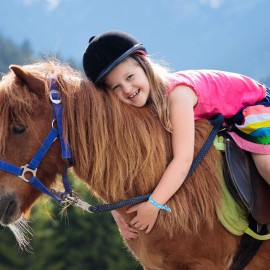 WILLBOND 32 Pieces Ribbon Hair Ties Accessories Sports Elastic Ribbon Tie Gifts for Autism Mexican Festival Derby Horse Racing Decor Women(Horse Pattern) WILLBOND 32 Pieces Ribbon Hair Ties Accessories Sports Elastic Ribbon Tie Gifts for Autism Mexican Festival Derby Horse Racing Decor Women(Horse Pattern)