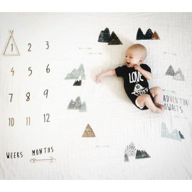 100% Organic Cotton Muslin Monthly Baby Milestone Blanket with Wooden Hello World Newborn Sign, Newborn Photography Props, Birth Announcement Sign, Eucalyptus