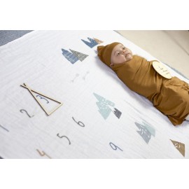 100% Organic Cotton Muslin Monthly Baby Milestone Blanket with Wooden Hello World Newborn Sign, Newborn Photography Props, Birth Announcement Sign, Eucalyptus