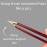 Tweezers - Surgical Grade Stainless Steel - Slant Tip for Expert Eyebrow Shaping and Facial Hair Removal - with Protective Pouch - Best Tweezer for Men and Women (Ruby Red)