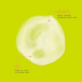 Freeman Soothing Watermelon & Aloe Gel Facial Mask, Hydrates, Nourishes, & Soothes Irritated Skin, Cooling, Calming Gel Face Mask, For Sensitive & Break-Out Prone Skin, 6 fl.oz. Tube, 1 Count