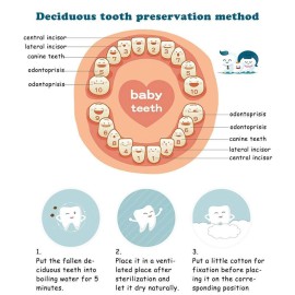 Esweny Baby Tooth Box,Solid Wood Teeth Boxes,Teeth Storage Box,Baby Save Boxes,Kids Keepsake Organizer for Baby Teeth and Hair,Baby Shower& Birthday Gift
