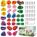 TOPNEW 32 Rock Climbing Holds Multi Size for Kids, Adult Rock Wall Holds Climbing Rock Wall Grips for Indoor and Outdoor Playground Play Set - Includes 2 Inch Mounting Hardware