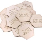 Wooden Baby Monthly Cards. Cute Unisex, Reversible, and Laser Engraved Blocks. Set of 24 Sayings Plus a Customizable Birth Card. Natural Wood Disc Photo Props for Boy or Girl in Keepsake Gift Bag