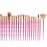 MELADY 20pcs Multi-function Pro Cosmetic Powder Foundation Eye shadow Eyeliner Lip Makeup Brushes Sets (full rose)