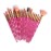 MELADY 20pcs Multi-function Pro Cosmetic Powder Foundation Eye shadow Eyeliner Lip Makeup Brushes Sets (full rose)
