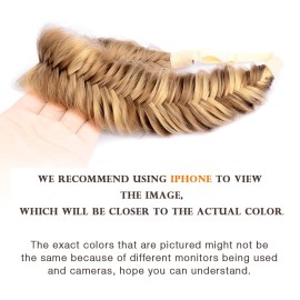 DIGUAN Wide Fishtail 2 Strands Synthetic Hair Braided Headband Classic Chunky Plaited Braids Elastic Stretch Hairpiece Women Girl Beauty accessory,59g (Highlighted) DIGUAN Wide Fishtail 2 Strands Synthetic Hair Braided Headband Classic Chunky Plaited Braids Elastic Stretch Hairpiece Women Girl Beauty accessory,59g (Highlighted)