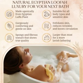 All Natural Loofah Sponge, Pack of 1 Real Egyptian Bath & Shower Exfoliating Loofa Scrubber Sponges for Face, Back & Body, Eco Friendly, No Toxic Chemicals, 6 x 6 by Crafts of Egypt