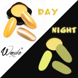 Nail Powder WENIDA 8 Jar Unicorn Iridescent Pearl Shell Holographic Chrome Mirror Laser Glow Synthetic Resin Pigment Manicure Decoration with 8 False Nails and Silicone Brush