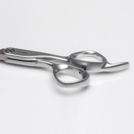 Fromm Transform 5.75 28 Tooth Thinning Shears for Haircutting Wet and Dry Hair, Polished Silver Japanese Steel Scissors with Beveled Blades and Microserrated Thinning Teeth