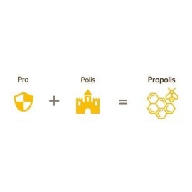 Kerasys Hair Clinic Propolis Shine & Healthy Hair Care Shampoo Propous Extract Minarals Natural Vitamin 1000ml / 35.3 Fl oz