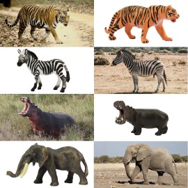 Toymany 14PCS 1-2 Tiny Jungle Animal Figures Toy, Realistic Mini Jungle Zoo Animal Figurines Cake Topper Toy Set, Easter Egg Christmas Birthday Gift Party Favor School Project for Kids Toddlers