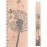 Headwaters Studio Wooden Growth Chart for Wall - Wood Height Chart for Kids, Child Height Wall Chart Wood, Growth Chart for Kids, Kid Height Wall Chart, Height Measurement-Dandelion-Natural-63 x 6.7