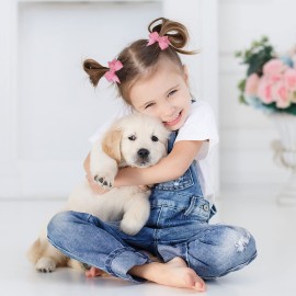 50PCS 2Inch Hair Bows Ties Baby Girls Kids Children Rubber Bands Grosgrain Ribbon Hair Bows Elastic Hair Ties Bands Ponytail Holders Hair Accessories Multi-colored