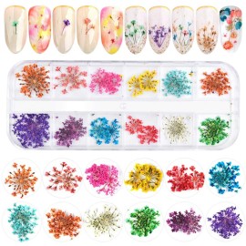EBANKU 12 Colors 3D Dried Flowers Nail Art Decals, Colorful Dried Gypsophila Flowers Nail Art Stickers Decoration, 3D Nail Decoration for UV Gel/Acrylic Nail Design