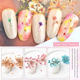 EBANKU 12 Colors 3D Dried Flowers Nail Art Decals, Colorful Dried Gypsophila Flowers Nail Art Stickers Decoration, 3D Nail Decoration for UV Gel/Acrylic Nail Design EBANKU 12 Colors 3D Dried Flowers Nail Art Decals, Colorful Dried Gypsophila Flowers Nail Art Stickers Decoration, 3D Nail Decoration for UV Gel/Acrylic Nail Design