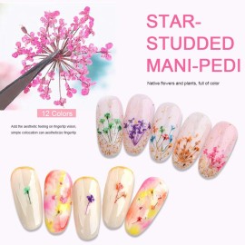 EBANKU 12 Colors 3D Dried Flowers Nail Art Decals, Colorful Dried Gypsophila Flowers Nail Art Stickers Decoration, 3D Nail Decoration for UV Gel/Acrylic Nail Design EBANKU 12 Colors 3D Dried Flowers Nail Art Decals, Colorful Dried Gypsophila Flowers Nail Art Stickers Decoration, 3D Nail Decoration for UV Gel/Acrylic Nail Design
