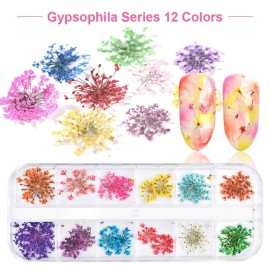EBANKU 12 Colors 3D Dried Flowers Nail Art Decals, Colorful Dried Gypsophila Flowers Nail Art Stickers Decoration, 3D Nail Decoration for UV Gel/Acrylic Nail Design EBANKU 12 Colors 3D Dried Flowers Nail Art Decals, Colorful Dried Gypsophila Flowers Nail Art Stickers Decoration, 3D Nail Decoration for UV Gel/Acrylic Nail Design