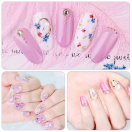 EBANKU 12 Colors 3D Dried Flowers Nail Art Decals, Colorful Dried Gypsophila Flowers Nail Art Stickers Decoration, 3D Nail Decoration for UV Gel/Acrylic Nail Design EBANKU 12 Colors 3D Dried Flowers Nail Art Decals, Colorful Dried Gypsophila Flowers Nail Art Stickers Decoration, 3D Nail Decoration for UV Gel/Acrylic Nail Design