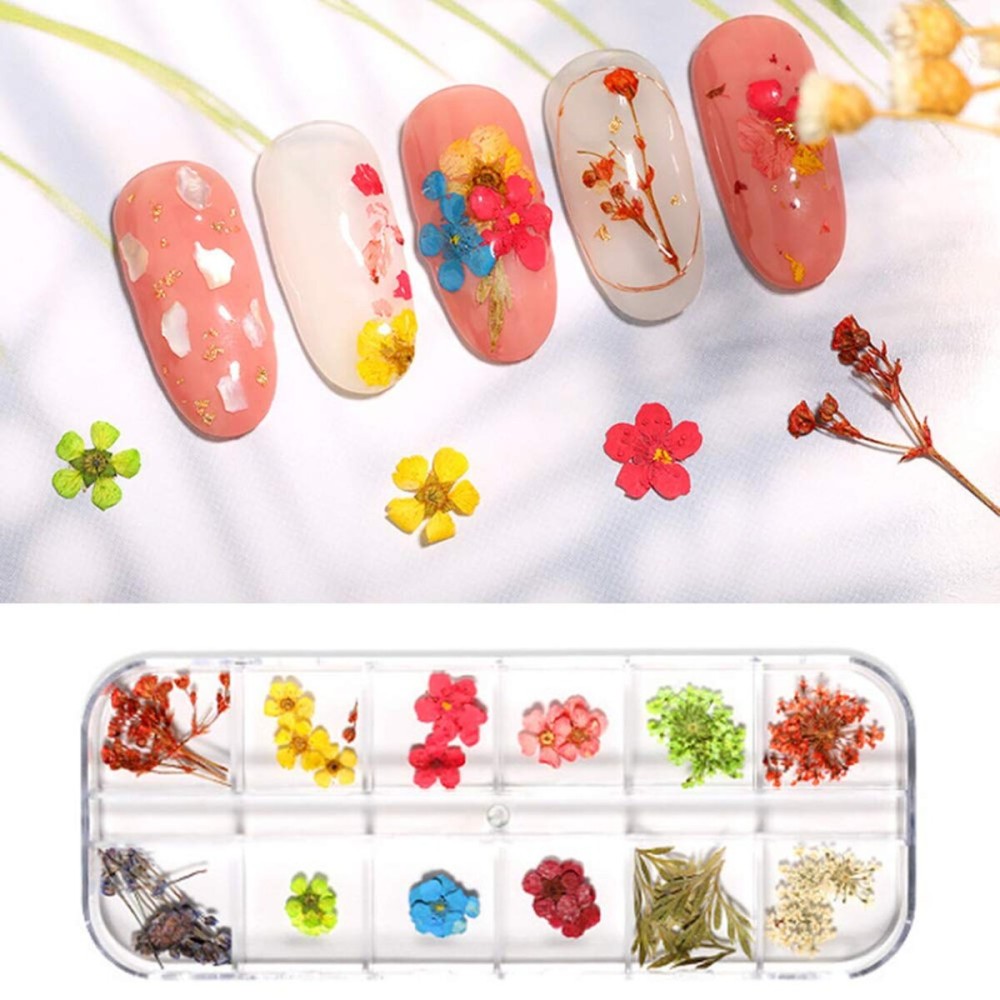 AKOAK 12pcs Dry Flower 3D Nail Stickers, Flower Leaves/Plants/Daffodils/Eternal Flowers, Professional Nail Sticker Accessories, Nail Sticker Set12 Colors (C) AKOAK 12pcs Dry Flower 3D Nail Stickers, Flower Leaves/Plants/Daffodils/Eternal Flowers, Professional Nail Sticker Accessories, Nail Sticker Set12 Colors (C)