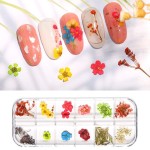 AKOAK 12pcs Dry Flower 3D Nail Stickers, Flower Leaves/Plants/Daffodils/Eternal Flowers, Professional Nail Sticker Accessories, Nail Sticker Set12 Colors (C)