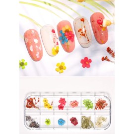 AKOAK 12pcs Dry Flower 3D Nail Stickers, Flower Leaves/Plants/Daffodils/Eternal Flowers, Professional Nail Sticker Accessories, Nail Sticker Set12 Colors (C) AKOAK 12pcs Dry Flower 3D Nail Stickers, Flower Leaves/Plants/Daffodils/Eternal Flowers, Professional Nail Sticker Accessories, Nail Sticker Set12 Colors (C)