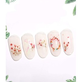 AKOAK 12pcs Dry Flower 3D Nail Stickers, Flower Leaves/Plants/Daffodils/Eternal Flowers, Professional Nail Sticker Accessories, Nail Sticker Set12 Colors (C) AKOAK 12pcs Dry Flower 3D Nail Stickers, Flower Leaves/Plants/Daffodils/Eternal Flowers, Professional Nail Sticker Accessories, Nail Sticker Set12 Colors (C)