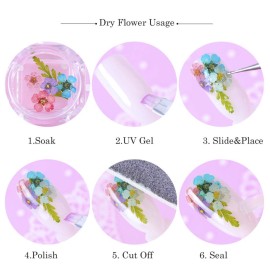 AKOAK 12pcs Dry Flower 3D Nail Stickers, Flower Leaves/Plants/Daffodils/Eternal Flowers, Professional Nail Sticker Accessories, Nail Sticker Set12 Colors (C) AKOAK 12pcs Dry Flower 3D Nail Stickers, Flower Leaves/Plants/Daffodils/Eternal Flowers, Professional Nail Sticker Accessories, Nail Sticker Set12 Colors (C)