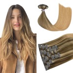 HUAYI Clip In Hair Extensions Medium Brown Mixed with Golden Brown and Strawberry Blonde Highlighted 120g Full Head Silky Straight 100% Human Hair Clip In Extensions 20in