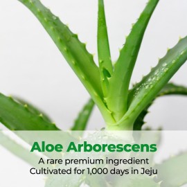 Cure Intensive 2X Cream, Premium Aloe Deep Moisturizing Multi Balm, Korean Skincare, Face Moisturizer for Dry Skin (Pack of 1) Cure Intensive 2X Cream, Premium Aloe Deep Moisturizing Multi Balm, Korean Skincare, Face Moisturizer for Dry Skin (Pack of 1)