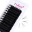 Lash Extensions Mega Volume Eyelash Extensions 0.03 C Curl Easy Fanning Volume Lashes Self Fan Eyelashes Extensions (0.03-C, 17mm)