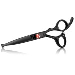 PURPLEBIRD 6 Inch Hair Cutting Shears Kids Safety Rounded Tips Hair Scissors Professional Hairdressing Haircut Salon, Barbers, Children, Baby and Personal Home Usage, Japanese Stainless Steel Black