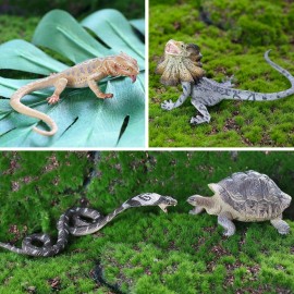 Toymany Reptile Animal Figurine Toys Set, 12 PCS Desert Amphibians Animal Figures with Komodo Dragon Lizard Snake Chameleon Rainforest Cold Blooded Animals Figures Party Favor for Kids