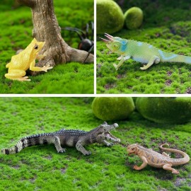 Toymany Reptile Animal Figurine Toys Set, 12 PCS Desert Amphibians Animal Figures with Komodo Dragon Lizard Snake Chameleon Rainforest Cold Blooded Animals Figures Party Favor for Kids