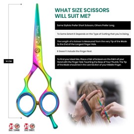 Blizzard Professional Hair Cutting Scissors - 5.5 inch VG10 Cobalt Haircut Shears with Razor Sharp Blades - Rainbow Finish Barber Hairdressing Travel Case for Salons & Home Use Blizzard Professional Hair Cutting Scissors - 5.5 inch VG10 Cobalt Haircut Shears with Razor Sharp Blades - Rainbow Finish Barber Hairdressing Travel Case for Salons & Home Use