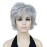 Lydell Short Layered Shaggy Wavy Full Synthetic Wigs (51 Silver Gray)