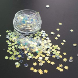 12 Boxes Holographic Nail Sequins Star Heart Round Nail Flakes Mermaid Iridescent Nail Glitter Flakes Symphony Nail Art Decoration Makeup for Face Body Eyes 12 Boxes Holographic Nail Sequins Star Heart Round Nail Flakes Mermaid Iridescent Nail Glitter Flakes Symphony Nail Art Decoration Makeup for Face Body Eyes