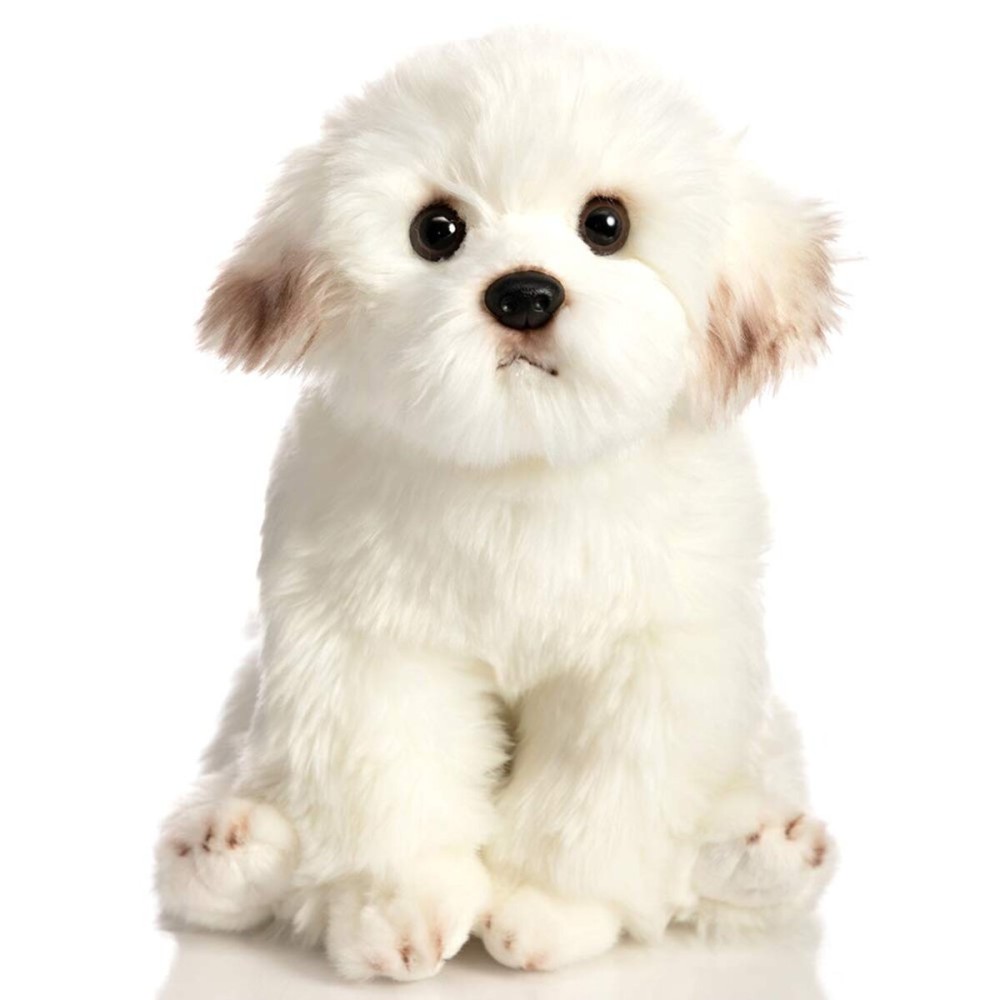 HollyHOME Maltese Stuffed Animal Realistic Maltese Dog Plush Toy Pet Gift for Kids 13 inches