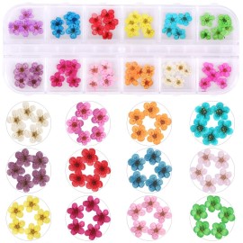 KISSBUTY 12 Colors Dried Flowers for Nail Art, Mini Real Natural 3D Applique Nail Decoration Sticker for Tips Manicure Decor (Daffodils)