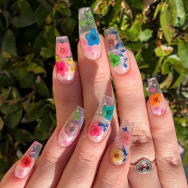 KISSBUTY 12 Colors Dried Flowers for Nail Art, Mini Real Natural 3D Applique Nail Decoration Sticker for Tips Manicure Decor (Daffodils) KISSBUTY 12 Colors Dried Flowers for Nail Art, Mini Real Natural 3D Applique Nail Decoration Sticker for Tips Manicure Decor (Daffodils)