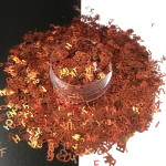 10g Ultrathin 4mm Letter Shape Sequins Nail Glitter Paillettes Laser Silver Eo-Friendly PET Sequin Nails Art Manicure Material LB400-26Letter