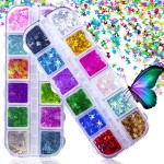 JOYJULY 3D Holographic Butterfly Nail Glitter - 24 Color Set Sequins Laser Acrylic Paillettes for Nail Art Decoration & DIY Crafting