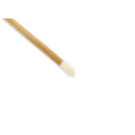 Artist\'s Choice Lip Gloss Applicators - Sponge Tip for Effortless Blending, Soft Pad with Angled Edges for Precise Control, Single-Use Option for Professionals Artist\'s Choice Lip Gloss Applicators - Sponge Tip for Effortless Blending, Soft Pad with Angled Edges for Precise Control, Single-Use Option for Professionals