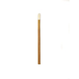 Artist\'s Choice Lip Gloss Applicators - Sponge Tip for Effortless Blending, Soft Pad with Angled Edges for Precise Control, Single-Use Option for Professionals Artist\'s Choice Lip Gloss Applicators - Sponge Tip for Effortless Blending, Soft Pad with Angled Edges for Precise Control, Single-Use Option for Professionals