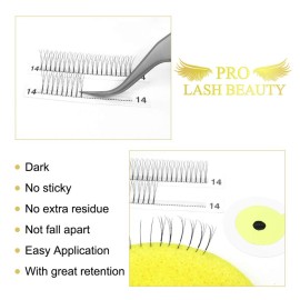 Premade Fans Eyelash Extensions 6D-C-0.07-14 Long Stem Premade Volume Eyelash Extensions .07 .10 Premade Volume Fans C D Curl(6D-C-0.07,14 mm) Premade Fans Eyelash Extensions 6D-C-0.07-14 Long Stem Premade Volume Eyelash Extensions .07 .10 Premade Volume Fans C D Curl(6D-C-0.07,14 mm)
