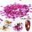 Maple Leaf Glitters & Stickers - Holographic Fall Sequins Flakes Paillette Nail Art Supplies - 5 Boxes