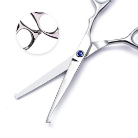 Lplpgg Professional Hair Cutting Scissors Set with Hairdressing Shears and Thinning Scissors for Barber Salon (Blue)