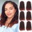 6 Packs Spring Twist Braiding Hair Spring Twists Twist Hair Synthetic Fiber Fluffy Twist Crochet Braids Low Temperature Twist Crochet Hair for Women Braiding Hair(8inch,T1B/350)
