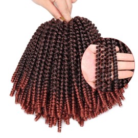 6 Packs Spring Twist Braiding Hair Spring Twists Twist Hair Synthetic Fiber Fluffy Twist Crochet Braids Low Temperature Twist Crochet Hair for Women Braiding Hair(8inch,T1B/350)